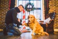 Friendship of man and dog. Pet golden retriever breed labrador shaggy dog. A man trains, teaches a dog to give a paw, to execute c Royalty Free Stock Photo