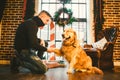 Friendship of man and dog. Pet golden retriever breed labrador shaggy dog. A man trains, teaches a dog to give a paw, to execute c Royalty Free Stock Photo