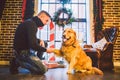 Friendship of man and dog. Pet golden retriever breed labrador shaggy dog. A man trains, teaches a dog to give a paw, to execute c Royalty Free Stock Photo