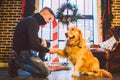 Friendship of man and dog. Pet golden retriever breed labrador shaggy dog. A man trains, teaches a dog to give a paw, to execute c Royalty Free Stock Photo