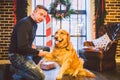 Friendship of man and dog. Pet golden retriever breed labrador shaggy dog. A man trains, teaches a dog to give a paw, to execute c Royalty Free Stock Photo