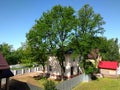 In friendship with the nature. A house, surrounded with trees Royalty Free Stock Photo