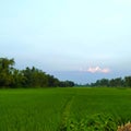 Friendship with sky and butiful green paddy