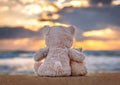 Friendship - two teddy bears Royalty Free Stock Photo