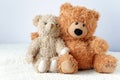 Friendship - two teddy bears holding in one`s arms