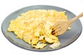 Fries egg (omelet) on plate Royalty Free Stock Photo