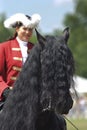 Friesen horse Royalty Free Stock Photo