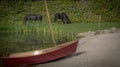 Friesian horse with boat