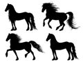 Friesian horse silhouettes Royalty Free Stock Photo