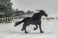 The horse gallops in the snow Royalty Free Stock Photo