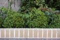 Frieze with reddish bricks and green plants outdoor.