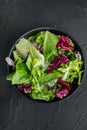 Frieze, romaine and Radicchio lettuce, on black background, top view flat lay Royalty Free Stock Photo