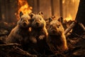 Frightened animal squirrel on the background of a fire in the forest. AI generated.
