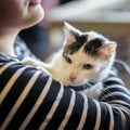 Frightened kitten in hands of girl volunteer, in shelter for homeless animals. Kitten will have home, girl takes cat to Royalty Free Stock Photo