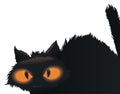 Frightened and Stealthy Black Cat with Big Eyes, Vector Illustration