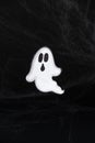 A frightening white ghost flies on a black background with a web, a Halloween postcard