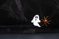 A frightening white ghost flies on a black background with a web and spider, a Halloween postcard