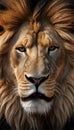 Frightening Wild Lion Face Mobile Wallpaper Background