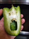 Frightful capsicum hasfeelingstoo scary stillateit