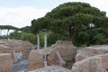 Frigidarium with the mosaic of Scilla, Baths of Neptune, Ostia Antica, Province of Rome, Lazio, Italy