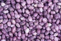 Frijoles Royalty Free Stock Photo