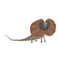 Frill lizard flat illustration