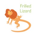 The frilled lizard is sitting. Australian bird in a simple style. Flat vector illustration