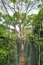 Forest Research Institute Malaysia Royalty Free Stock Photo