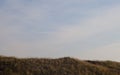 Fringing on the Sand Dune