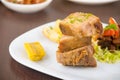 Fritada fried pork traditional ecuadorian food Royalty Free Stock Photo