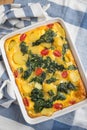 Fritatta with spinach Royalty Free Stock Photo