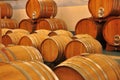 Friuli Colli Orientali wine cellar and barrels, interior view