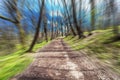 Froest road in motion blur on a sunny day, cloese