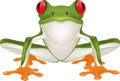 frog Royalty Free Stock Photo