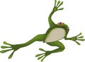 Frog Royalty Free Stock Photo