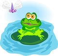 Frog Royalty Free Stock Photo