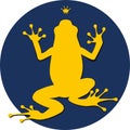 Frog Royalty Free Stock Photo