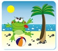 Frog on the beach