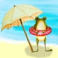 Frog on the beach