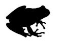 Frog Black silhouette