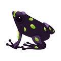 frog black with spot