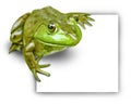 Frog with blank sign Royalty Free Stock Photo