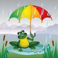 Frog with a bright umbrella Royalty Free Stock Photo