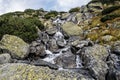 Frog brook, High Tatras mountains, Slovakia