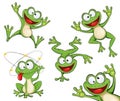 Frog cartoon character. Funny frog Royalty Free Stock Photo