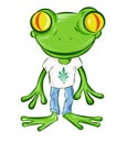 Frog Cartoon Character with t shirt