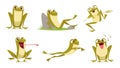 Frog. Cartoon cute toad in action poses exact active jumping lazy frog