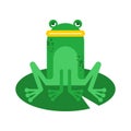 Frog cartoon isolated. frog sitting on lily. vector illustration Royalty Free Stock Photo