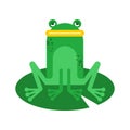 Frog cartoon isolated. frog sitting on lily. vector illustration