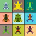 Frog cartoon tropical animal cards cartoon amphibian mascot character wild vector illustration. Royalty Free Stock Photo
